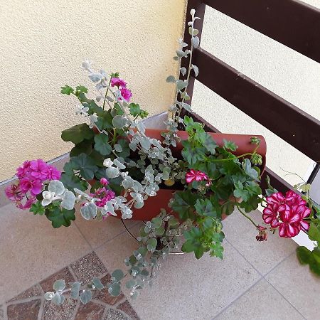 Ferienwohnung Holi Čavle Exterior foto